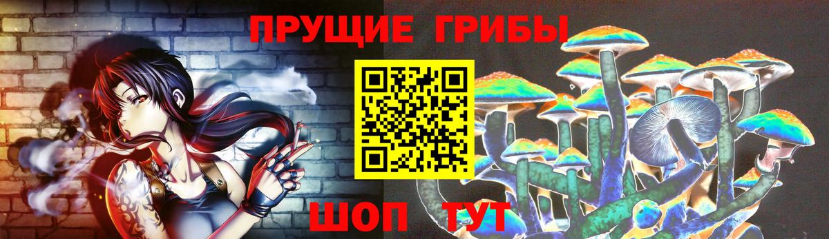 Псилоцибиновые грибы GOLDEN TEACHER Энгельс